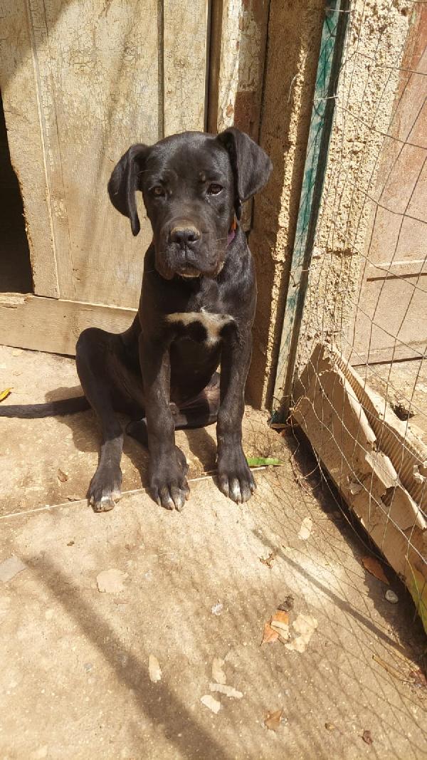 Ulisse Foto 3